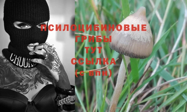 тгк Кулебаки