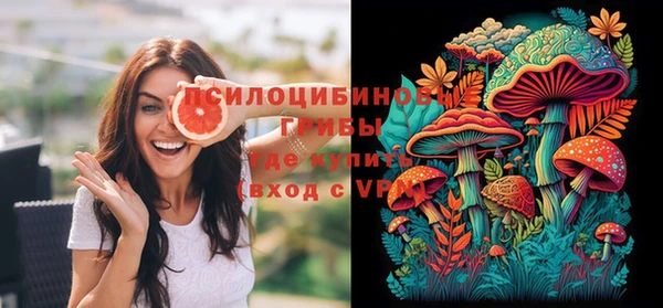 тгк Кулебаки